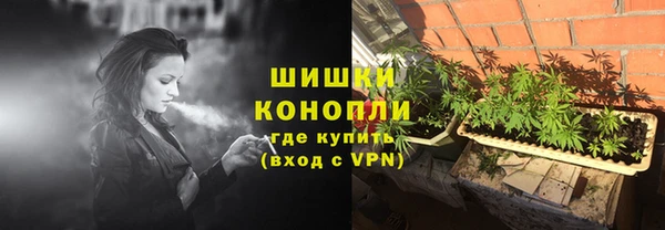 соль ск Арсеньев