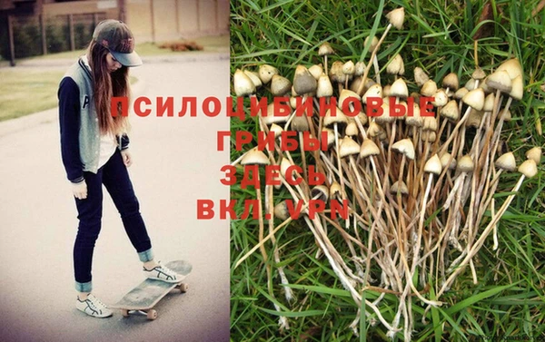 экстази Аркадак