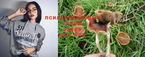 соль ск Арсеньев