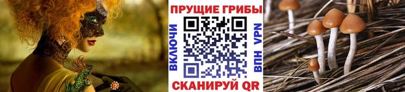 даркнет сайт  Киреевск  Галлюциногенные грибы ЛСД 